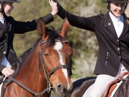 2016 Sydhavscup spring 1. del - 8. maj